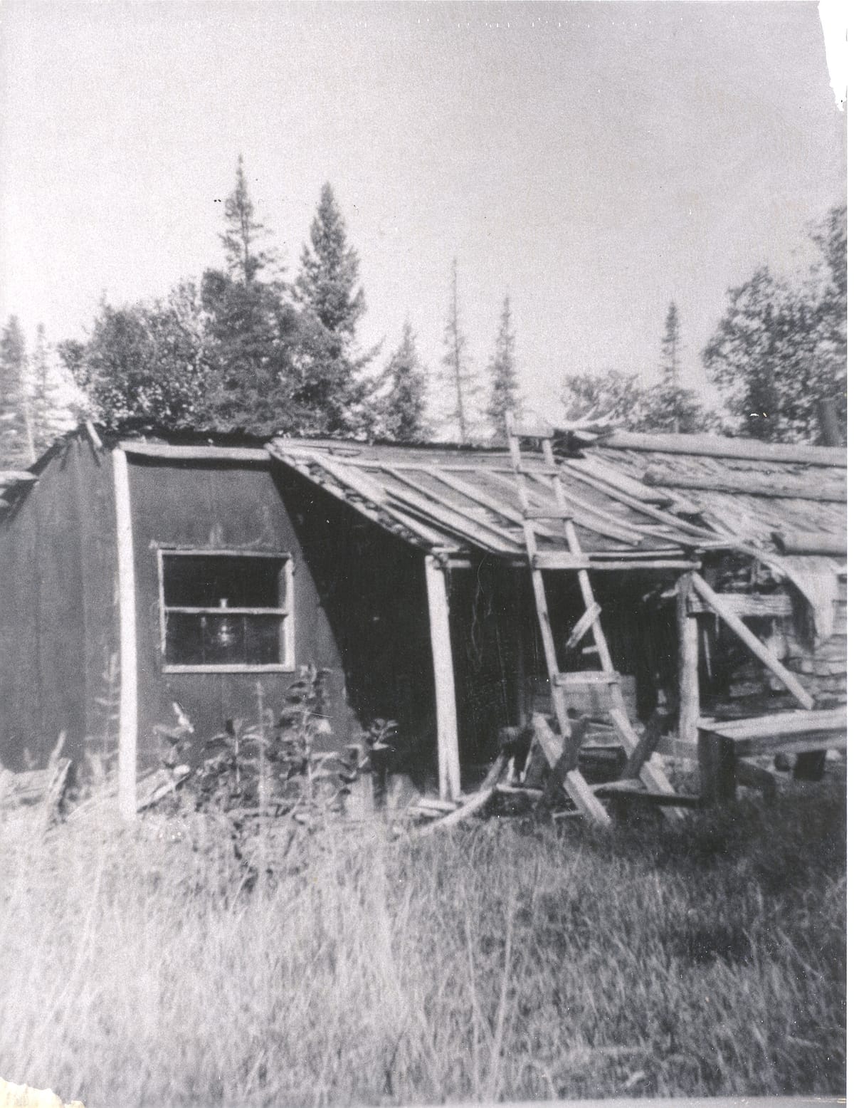 Wild Bill Lake - Photo 1