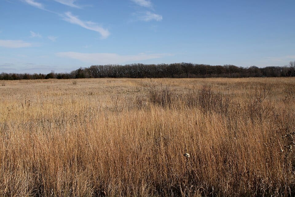 Birch Coulee Creek - Photo 1