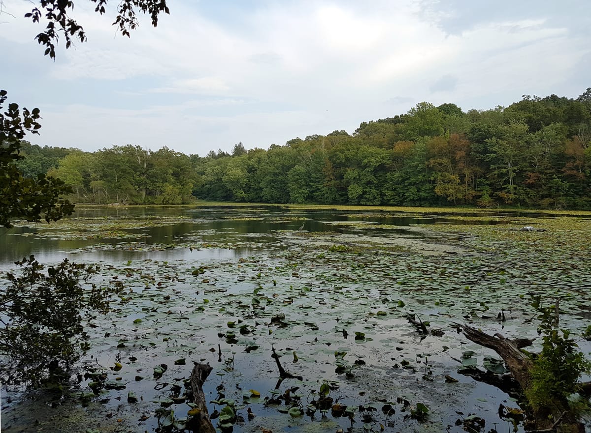Teatown Lake Reservation - Photo 1