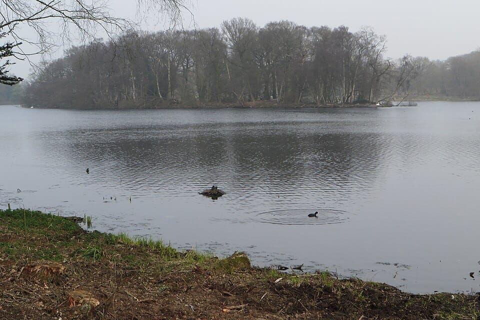Trentham Lake - Photo 1
