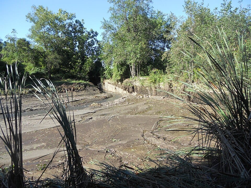 Wallkill River - Photo 1