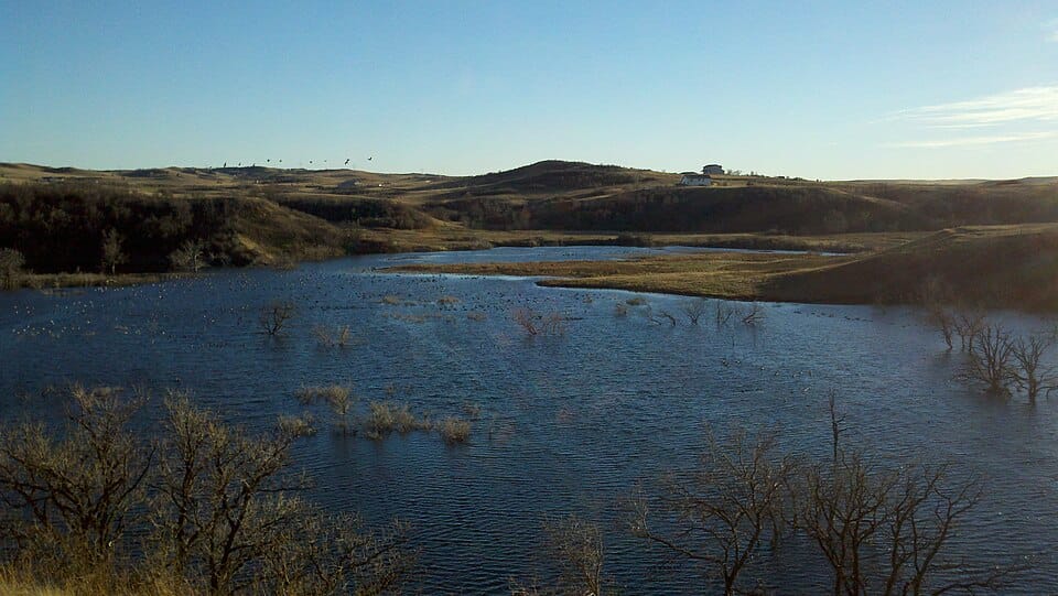 Harmon Lake - Photo 1