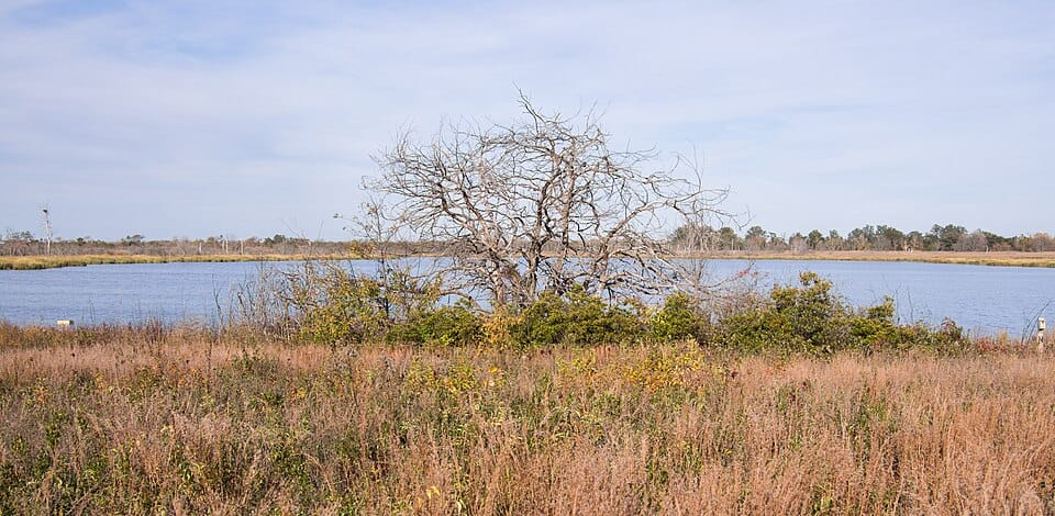 West Pond - Photo 1