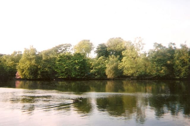 Rhodes Lake - Photo 1