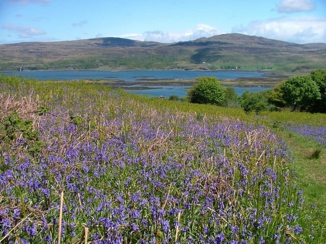 Loch Tuath - Photo 1