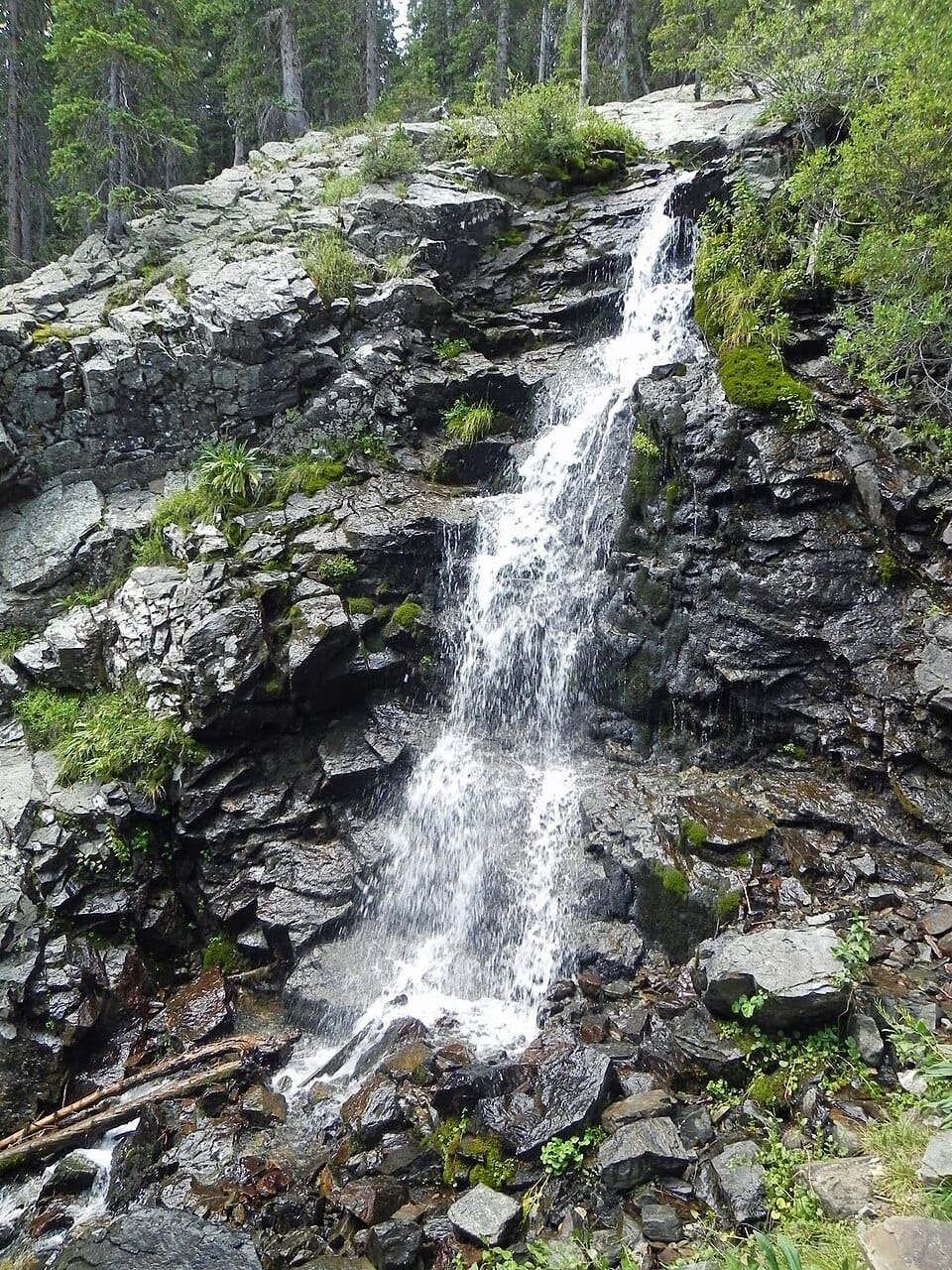 Williams Lake - Photo 1