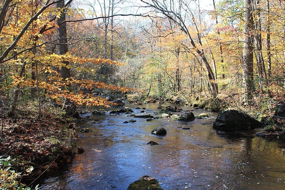 Ridge Valley Creek - Photo 1