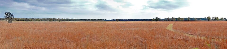 Texas Bayou - Photo 1