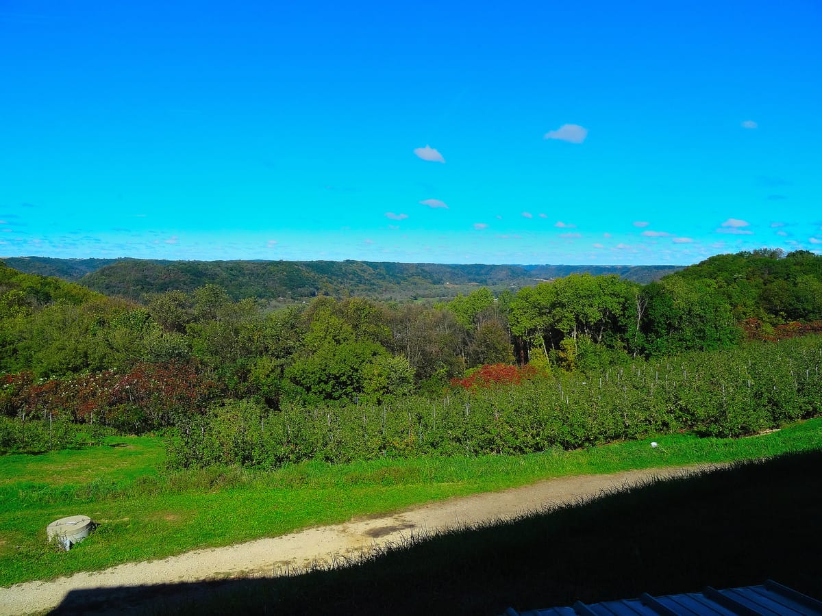 Mills River Valley Overlook - Photo 1
