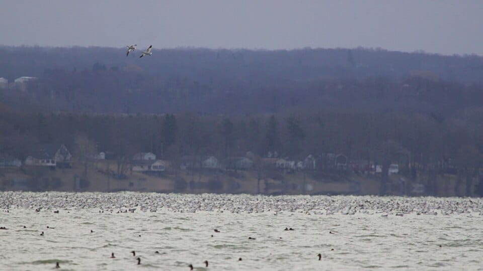 Cayuga Lake State Park Lodge - Photo 1