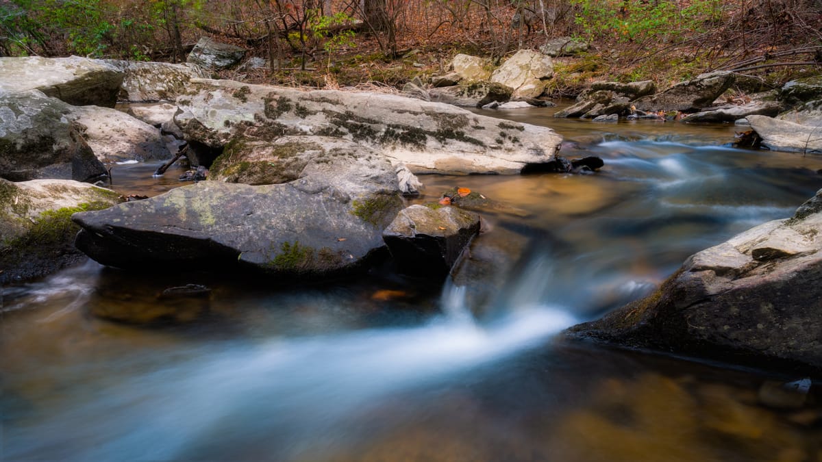 Hawlings River Stream Valley Park - Photo 1