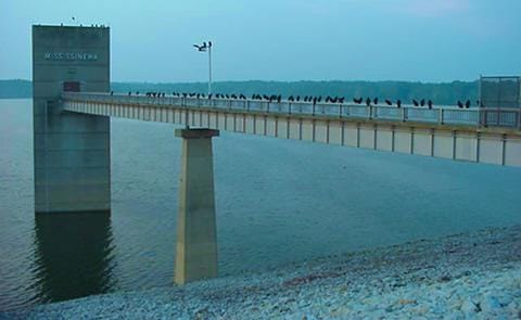 Mississinewa Lake - Photo 1