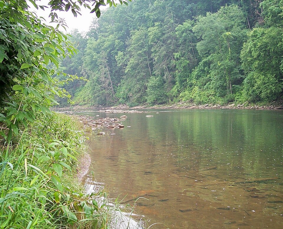 West Fork Black River - Photo 1