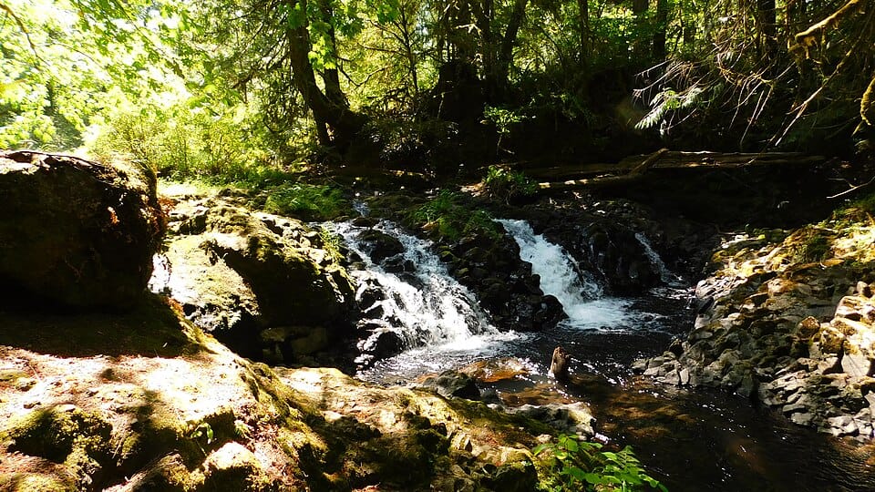 Kennedy Creek - Photo 1