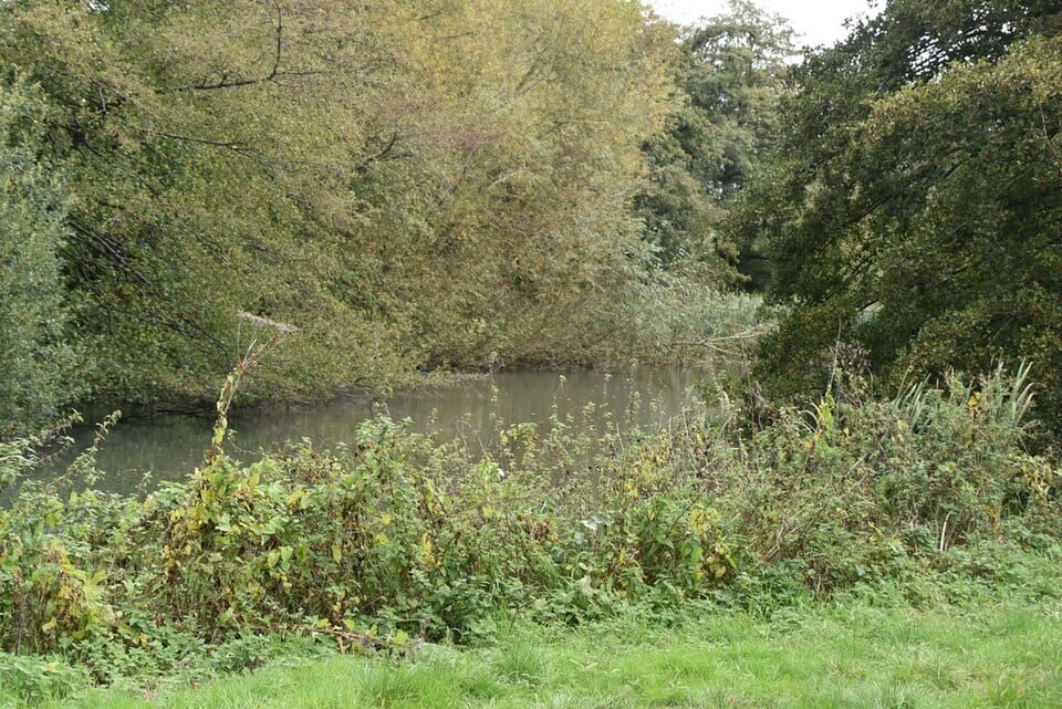 Langley Pond - Photo 1