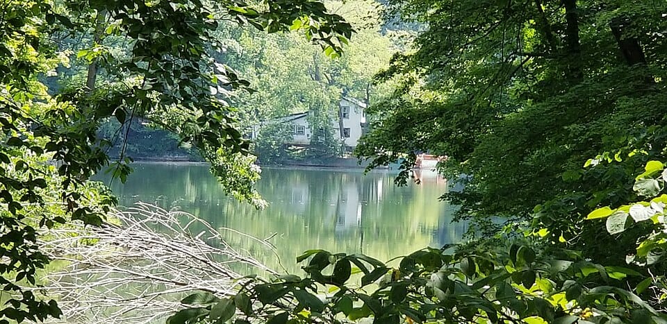 Hart Lake - Photo 1