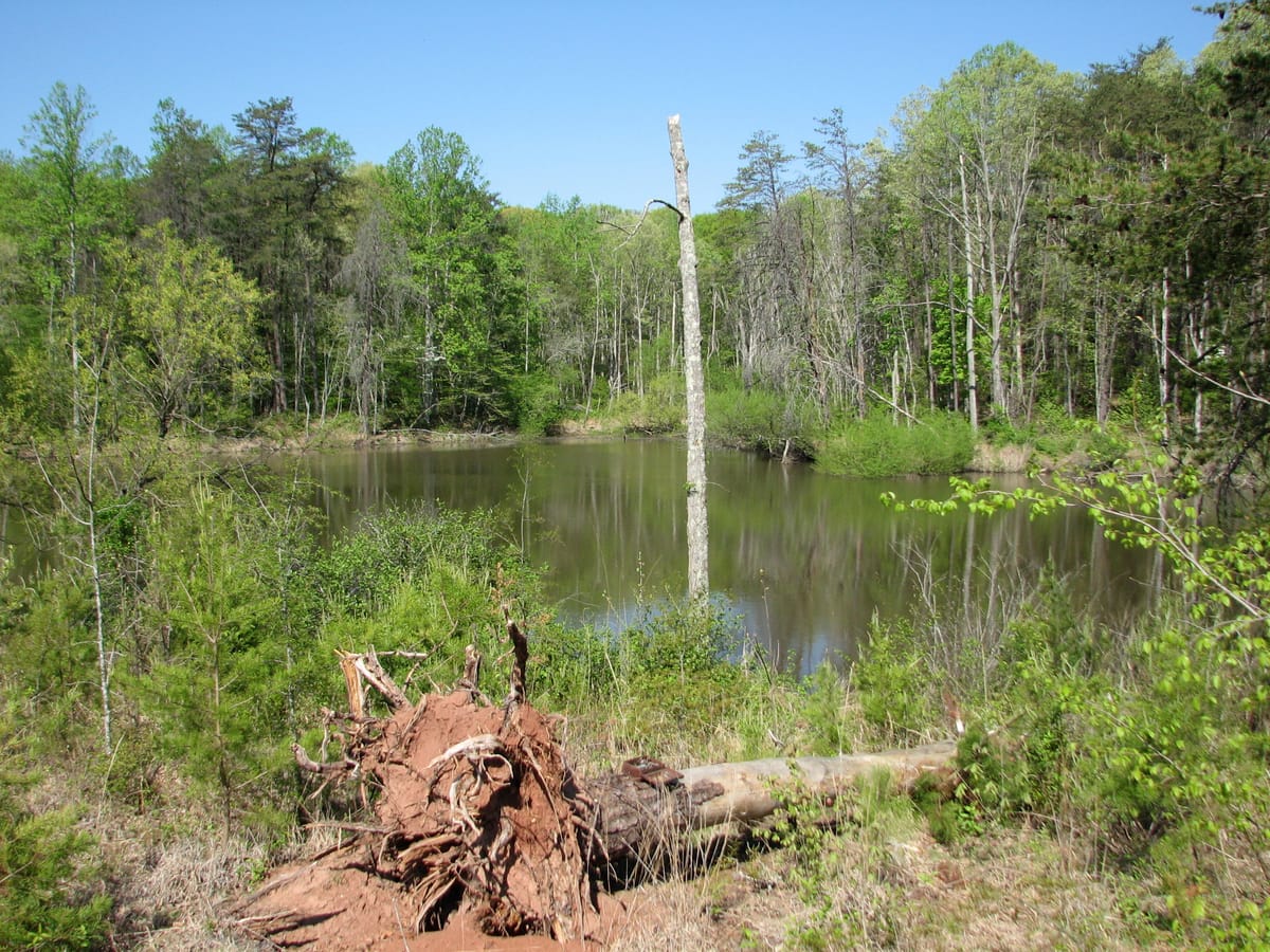 Mayo River State Park - Photo 1