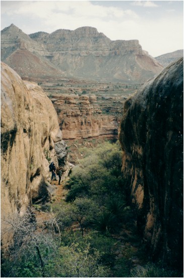 Kanab Creek - Photo 1