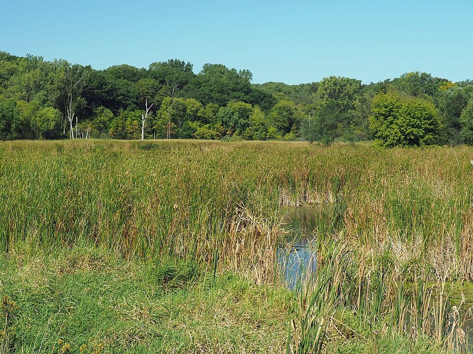 Woods Reservoir - Photo 1