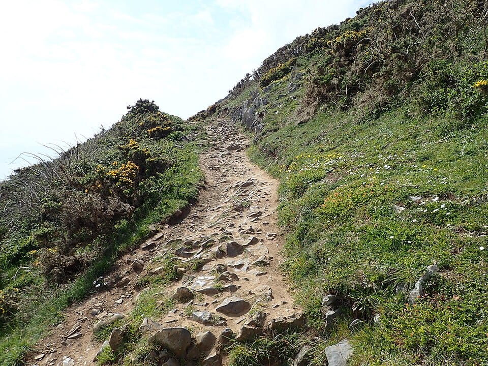 Brandy Cove - Photo 1