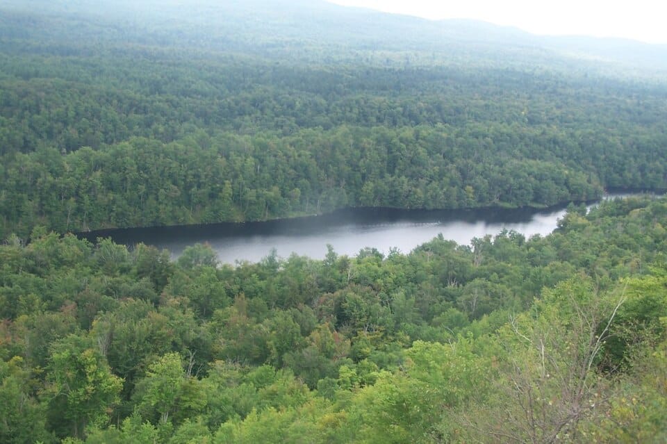 Lows Lake - Photo 1