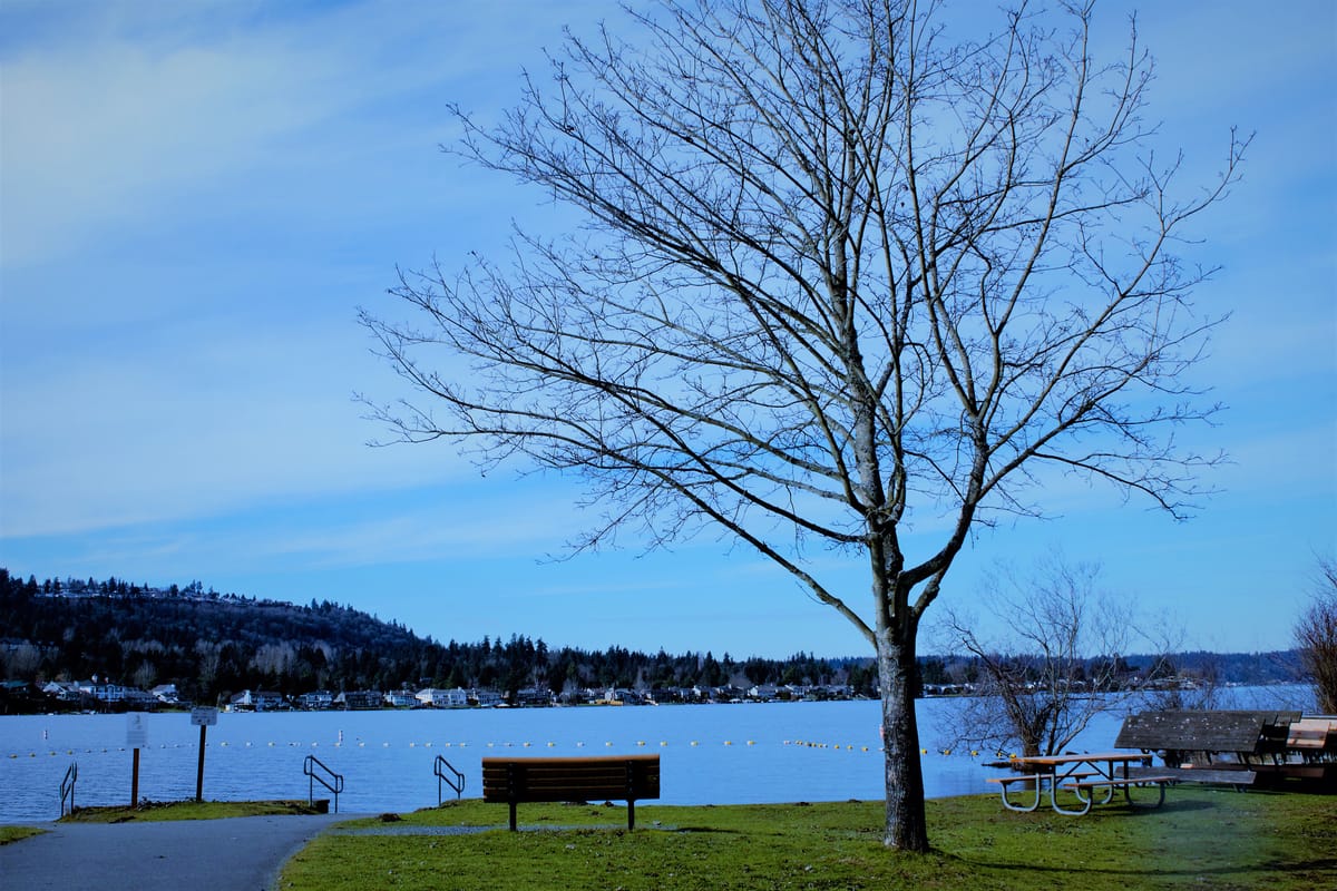 Lake Sammamish State Park - Photo 1