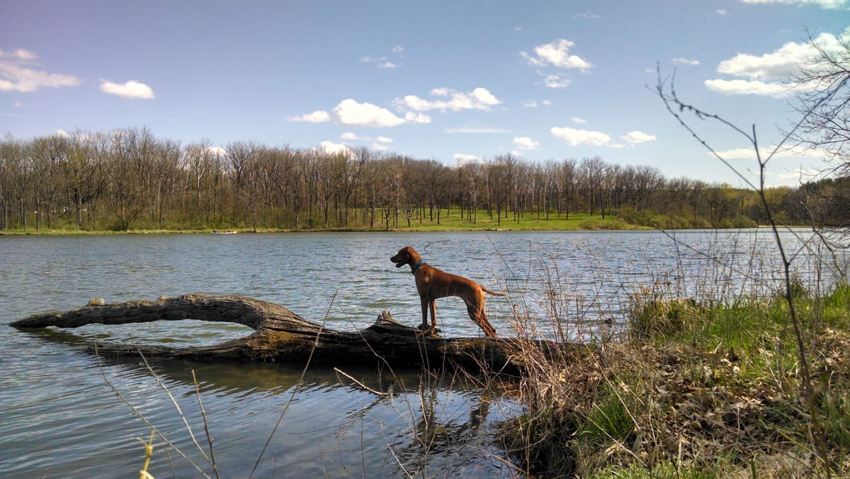 Sauk Lake - Photo 1