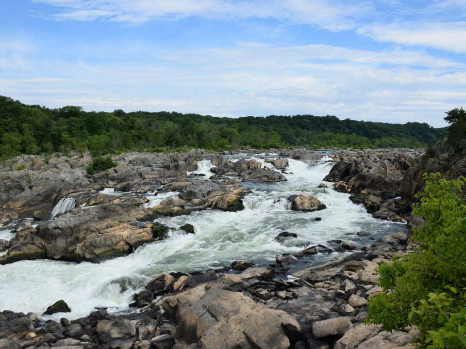 Potomac River - Photo 1