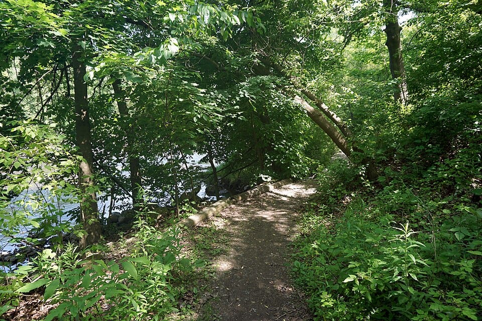 Milwaukee River Greenway - Photo 1