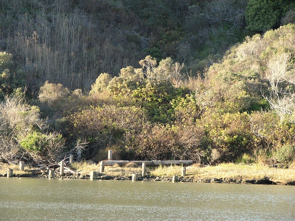 Navarro Beach - Photo 1