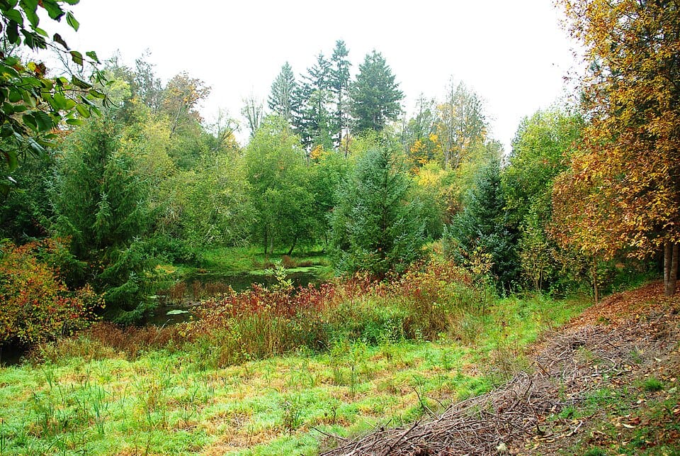 Turner Lake - Photo 1