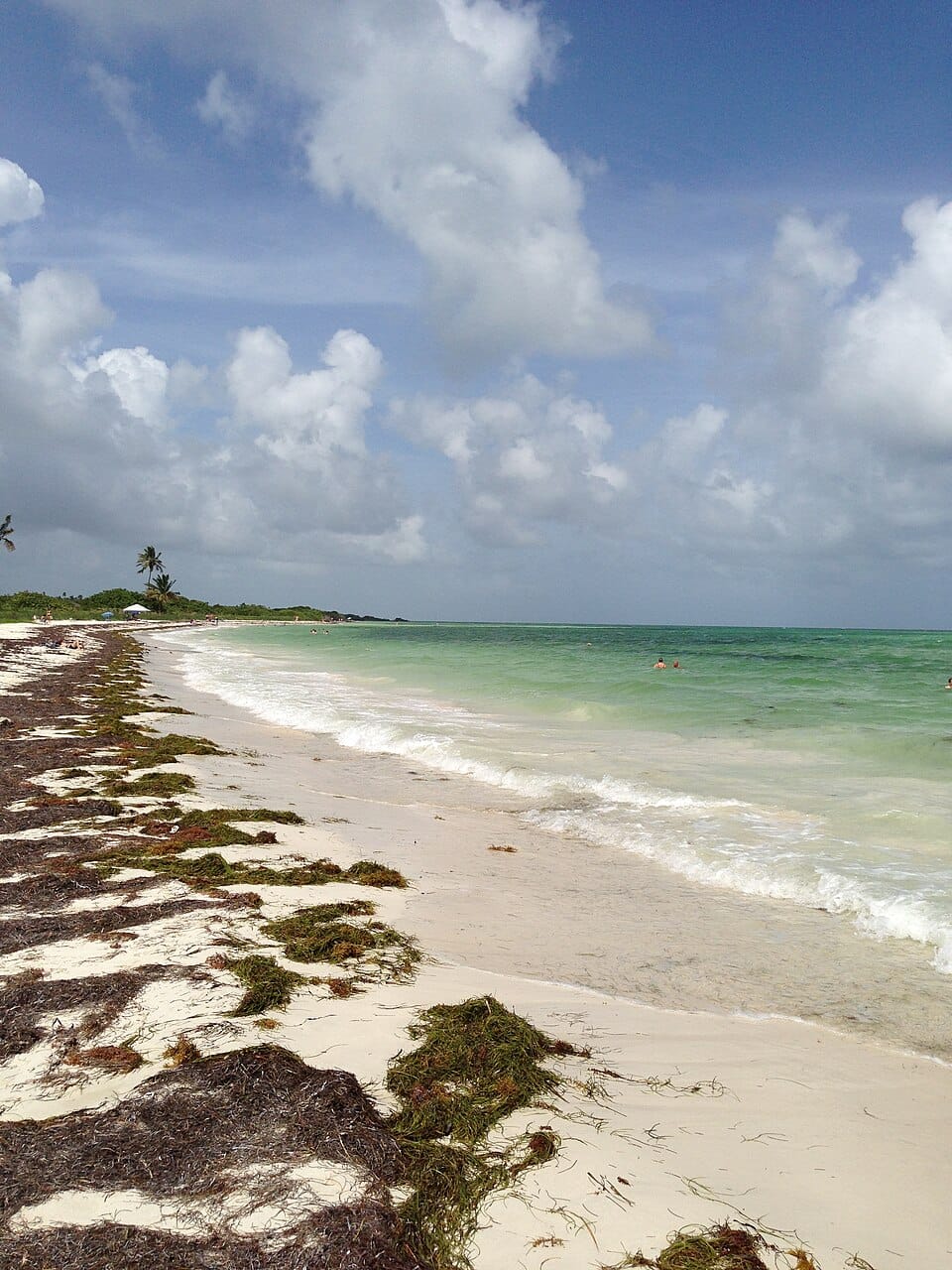 Sandspur Beach - Photo 1