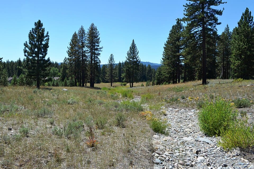Lake Forest Beach - Photo 1