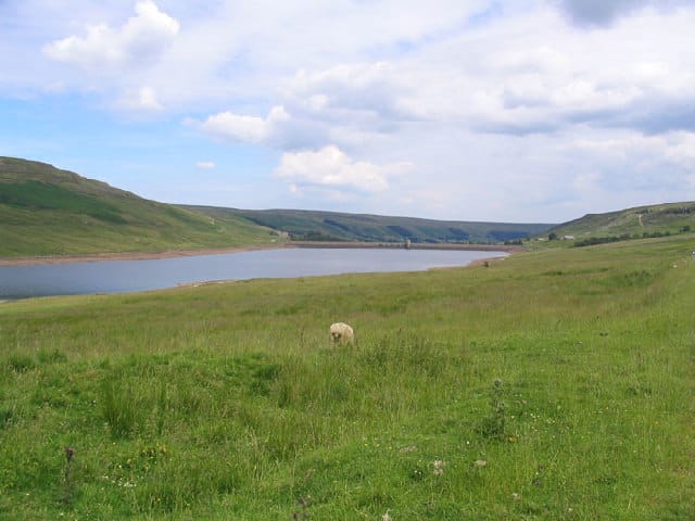 Scar House Reservoir - Photo 1