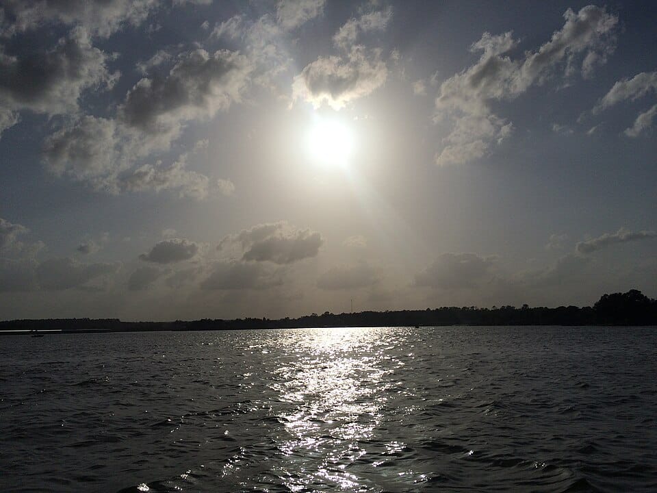 Lake Conroe Beach Park ( Lake Conroe Park ) - Photo 1