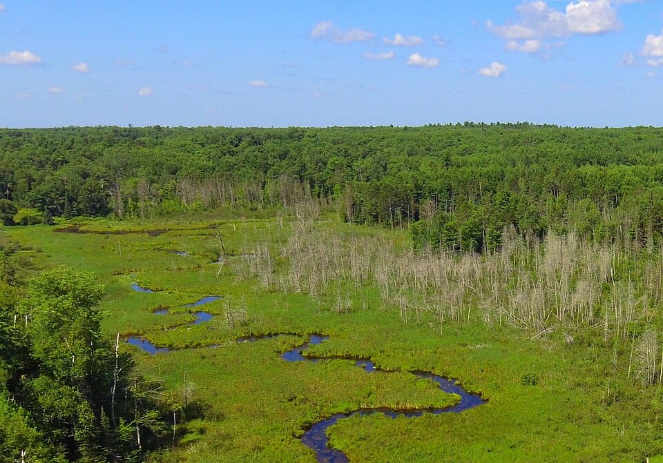 Moss Lake - Photo 1