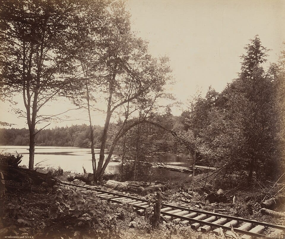 Beechwood Lake - Photo 1