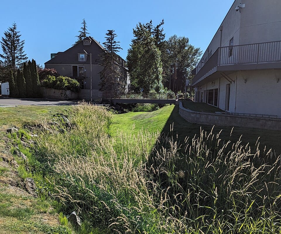 Meridian Creek - Photo 1