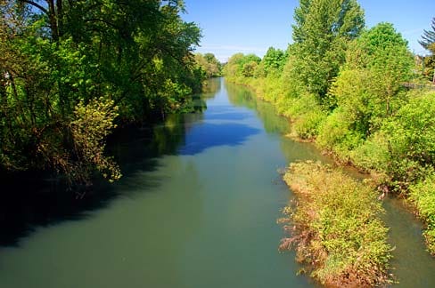 Yamhill River - Photo 1
