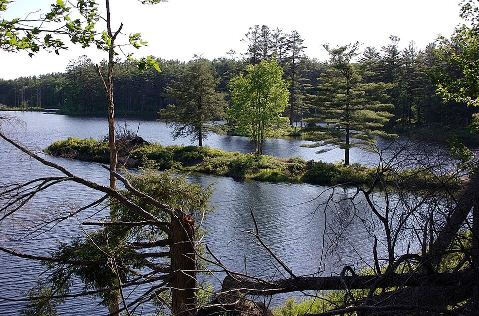 Tully Lake - Photo 1