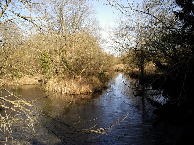 Avington Park - Photo 1