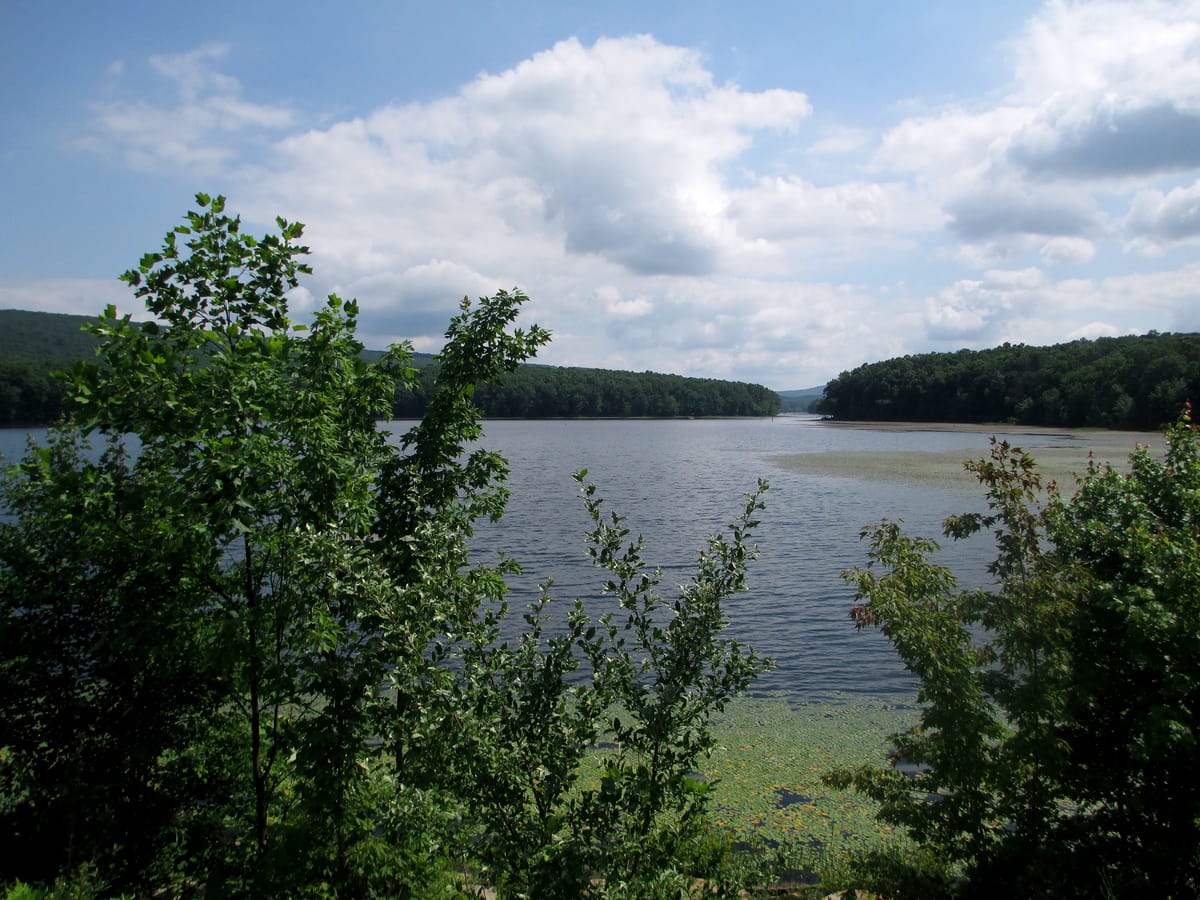 Sleepy Creek Wildlife Management Area - Photo 1