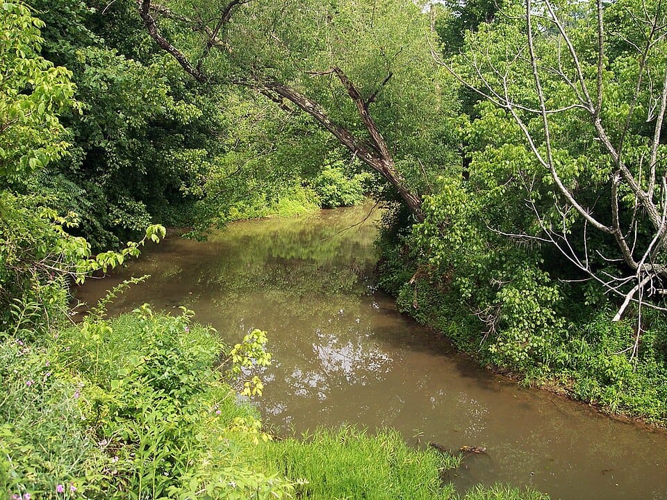 Walker Creek - Photo 1