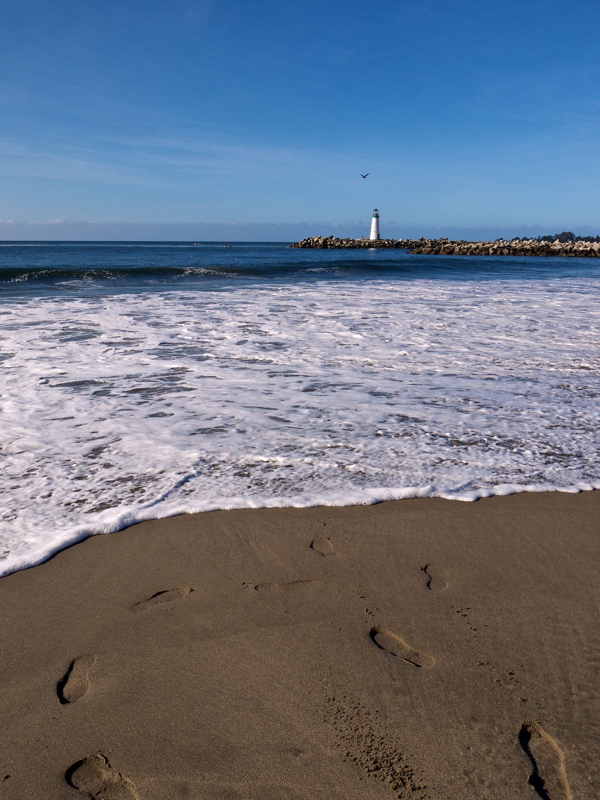 Sunny Cove - Photo 1