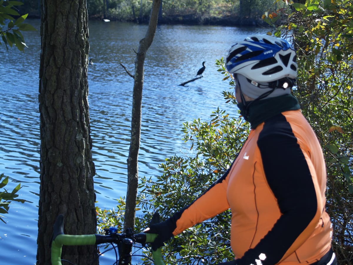 Lake Susan - Photo 1