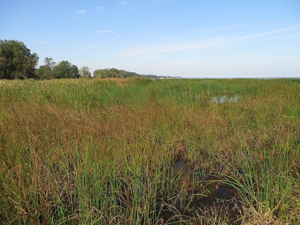 Kawkawlin River - Photo 1