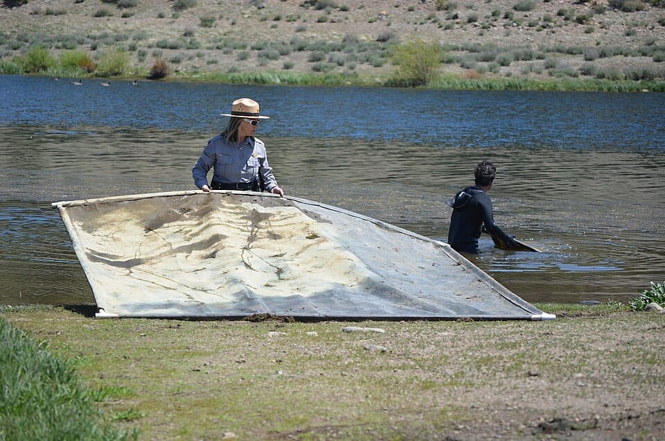 Kill Creek Park Lake - Photo 1