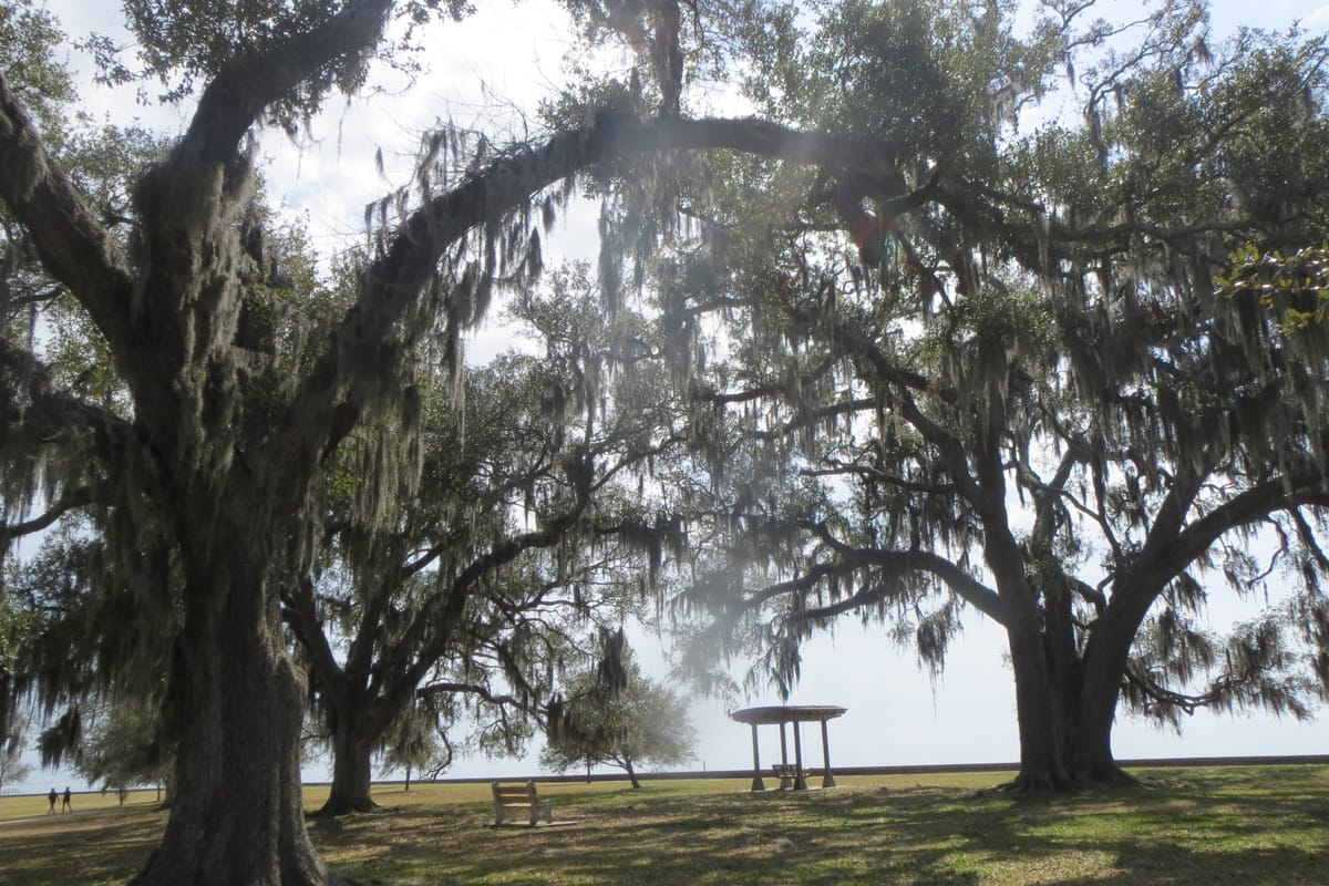 Mandeville Lakefront Splash Park - Photo 1
