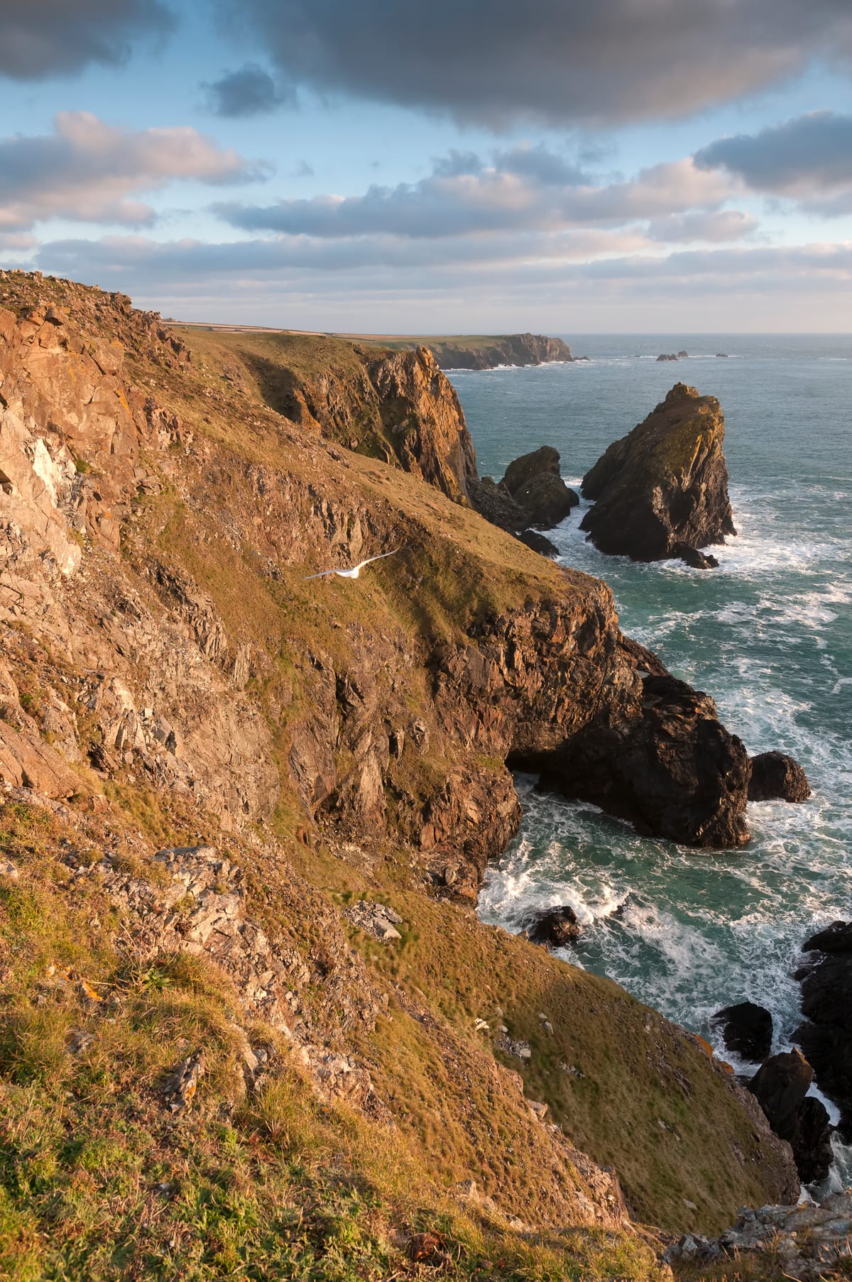 The Cove - Photo 1