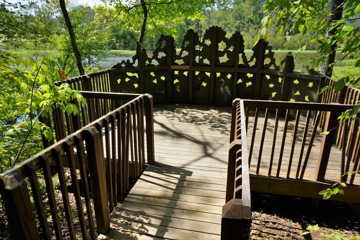 Sandy Creek Park - Photo 1
